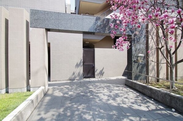 サザントゥリーIIの物件内観写真